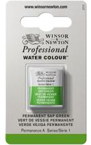 Aquarela Pastilha Profissional Winsor 503 Permsap Green