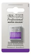 Aquarela Pastilha Profissional Winsor Quinacridon Violet 550