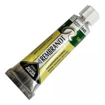 Aquarela Pintura Rembrandt 10ml 645 Hooker Green Deep