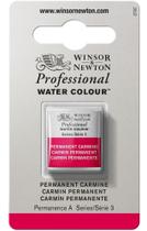 Aquarela Profissional Winsor & Newton S3 Permanent Carmine