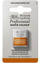 Aquarela Profissional Winsor S1 381 Magnesium Brown