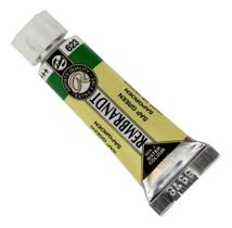 Aquarela Tubo Profissional Rembrandt 10 Ml 623 Sap Green S2 Aquarela Tubo Profissional Rembrandt 10 Ml 623 Sap Green S2