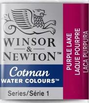 Aquarela Winsor &amp Newton Cotman 8ml 544 Purple Lake 0303544
