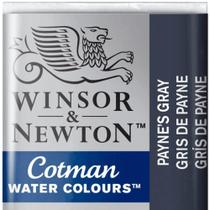 Aquarela Winsor & Newton Cotman Pastilha 465 Paynes Gray