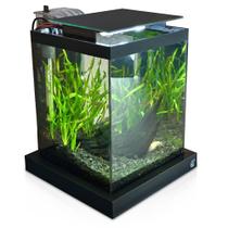 Aquário 10 litros Quili Blackbox Nano + Completo + Decoração Natural