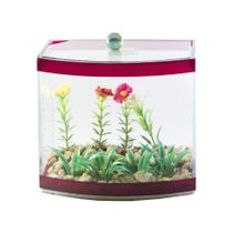 Aquário Beteira Design para Peixes Vision Com planta - Cores Sortidas - Tamanho 2
