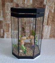 Aquário Beteira Octogonal Decorado peixe Betta 5,5l Grande espaço