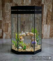 Aquário Beteira Octogonal Decorado peixe Betta 5,5l Grande espaço Aquário Beteira Octogonal Decorado peixe Betta 5,5l Grande espaço