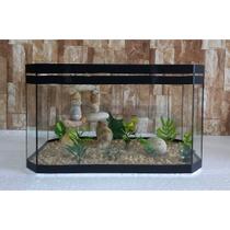 Aquário Beteira Oval 35cm Para Peixe Betta Decorado