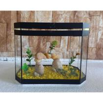 Aquario Beteira Oval Para Peixe Betta 3,0L (até a borda) Decorado Ornamentação Exclusiva