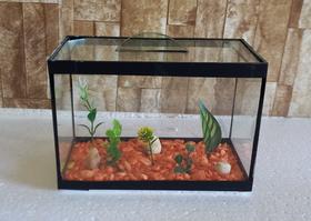 Aquario Beteira Para Peixe Betta Decorado