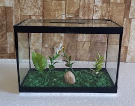 Aquario Beteira Para Peixe Betta Decorado