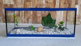 Aquário Beteira Retangular 4 Litros até a borda 30cm II Para Peixe Betta Ornamentação Decorado
