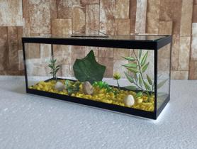 Aquário Beteira Retangular 4 Litros até a borda 30cm II Para Peixe Betta Ornamentação Decorado
