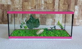 Aquário Beteira Retangular 4 Litros até a borda 30cm II Para Peixe Betta Ornamentação Decorado Aquário Beteira Retangular 4 Litros até a borda 30cm II Para Peixe Betta Ornamentação Decorado