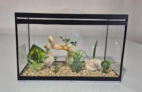 Aquário Beteira Retangular Decorada 8 Litros até a borda Peixe Betta