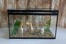 Aquário Beteira Retangular Decorada 8 Litros até a borda Peixe Betta