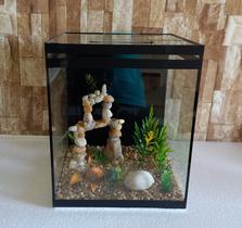 Aquário Beteira Tubular Decorada Peixe Betta 19 Litros até a borda