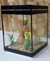 Aquário Beteira Tubular Decorada Peixe Betta 4,5L até a bordar