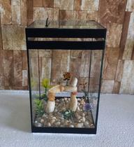 Aquário Beteira Tubular Decorada Peixe Betta 6 Litros até a borda