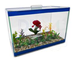 Aquário Bob Decorado N4 35X17X22 10Lts Vidro Peixes Plantas - Gpm Logística