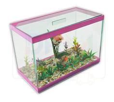 Aquário Bob Decorado N6 45x21x28 28Lts Vidro Peixes Plantas