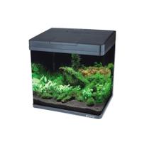 Aquário Boyu Curvo Preto MS-320 20 L - 220V