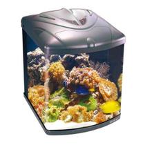 Aquário Boyu Curvo TL 550 128 Litros - 220V