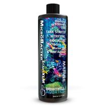 Aquário Brightwell Aquatics MicroBacter Start XLM de 500 ml