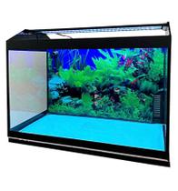 Aquario completo Top 50 com luminaria e filtro sump traseiro Aquario completo Top 50 com luminaria e filtro sump traseiro