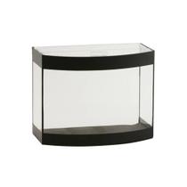 Aquário Curvo Aquaterrário Faixa Preta - 5L