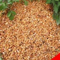 Aquarium Gravel Mix Rocks 8,16 kg para bonsai de cactos suculentos