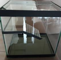 Aquaterrario 20x15x20 Aquaterrario 20x15x20