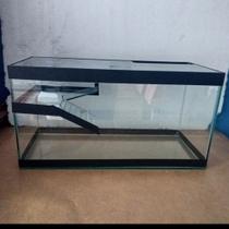 Aquaterrario 40x20x20 Aquaterrario 40x20x20