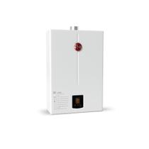 Aquecedor de Água a Gás Glp Rheem 22L Digital Branco Bivolt