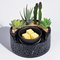 Aquecedor de fusão de cera Waxarapy Ceramic 4 em 1 com luz LED preta Aquecedor de fusão de cera Waxarapy Ceramic 4 em 1 com luz LED preta