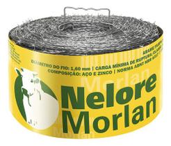 Arame Farpado 500 Metros Nelore - Morlan Arame Farpado 500 Metros Nelore - Morlan