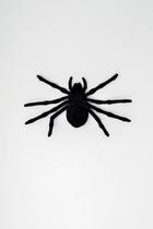 Aranha Esqueletica Aranha Esqueletica
