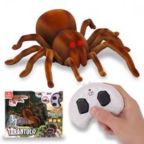 Aranha Robô Brinquedo Com Luz Controle Remoto Anda Aranha Robô Brinquedo Com Luz Controle Remoto Anda