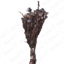 Arapurama Roxo Desidratado Buque Flores Secas Arapurama Roxo Desidratado Buque Flores Secas