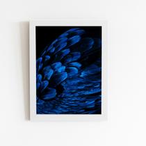 Arara Penas Azuis Asas Aves Quadro Moldura Branca 60x40cm Arara Penas Azuis Asas Aves Quadro Moldura Branca 60x40cm