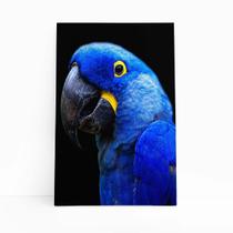 Arara ul-Grande Aves Animais Quadro Canvas 60X40Cm