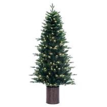Árbol de Navidad Picea Vickerman en Maceta 1.8 m con 200 LED Árbol de Navidad Picea Vickerman en Maceta 1.8 m con 200 LED
