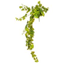 Arbusto Colgante Artificial de Potos Vickerman Everyday 51 cm Verde Arbusto Colgante Artificial de Potos Vickerman Everyday 51 cm Verde