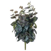 Arbusto de peperomia artificial Vickerman 64 cm verde Arbusto de peperomia artificial Vickerman 64 cm verde