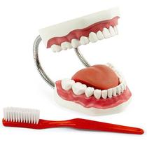 Arcada dentária com escova - brink mobil - 703