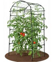 Arco Treliça para Jardim BAXAM 200 cm de Altura Suporte Metálico para Plantas Trepadeiras Arco Treliça para Jardim BAXAM 200 cm de Altura Suporte Metálico para Plantas Trepadeiras