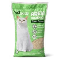 Areia Higiênica 4kg Grossa Gato Aditivo Antiodor Argila Xixi