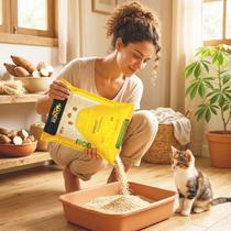 Areia Higienica Gato Mandii 4,2Kg Premium Fibra Mandioca