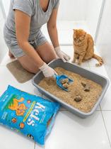 Areia Sanitária para Gatos Kets Azul 12kg Alta Absorção e Controle de Odores Areia Sanitária para Gatos Kets Azul 12kg Alta Absorção e Controle de Odores